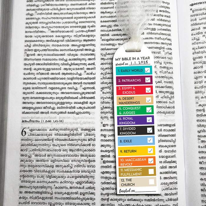 The Bible in a Year Tracker (Acrylic)