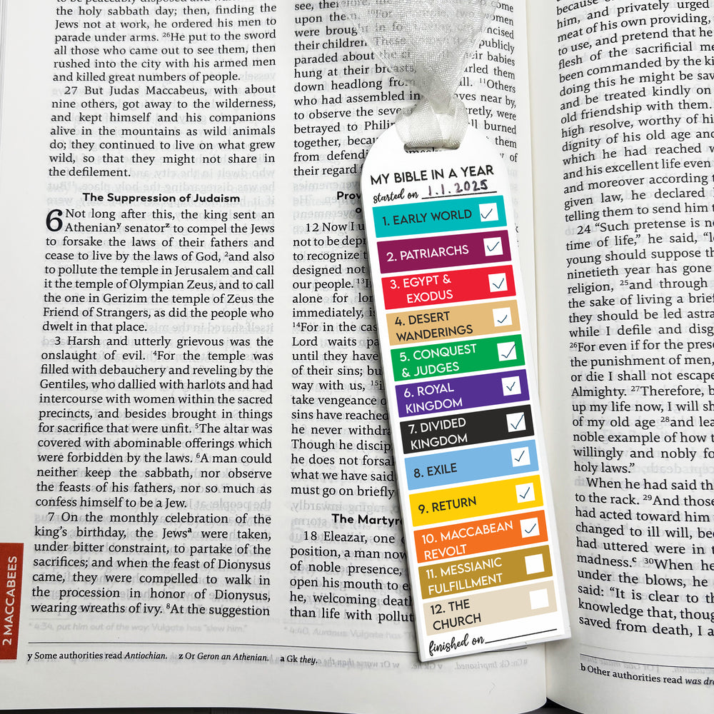 The Bible in a Year Tracker (Acrylic)