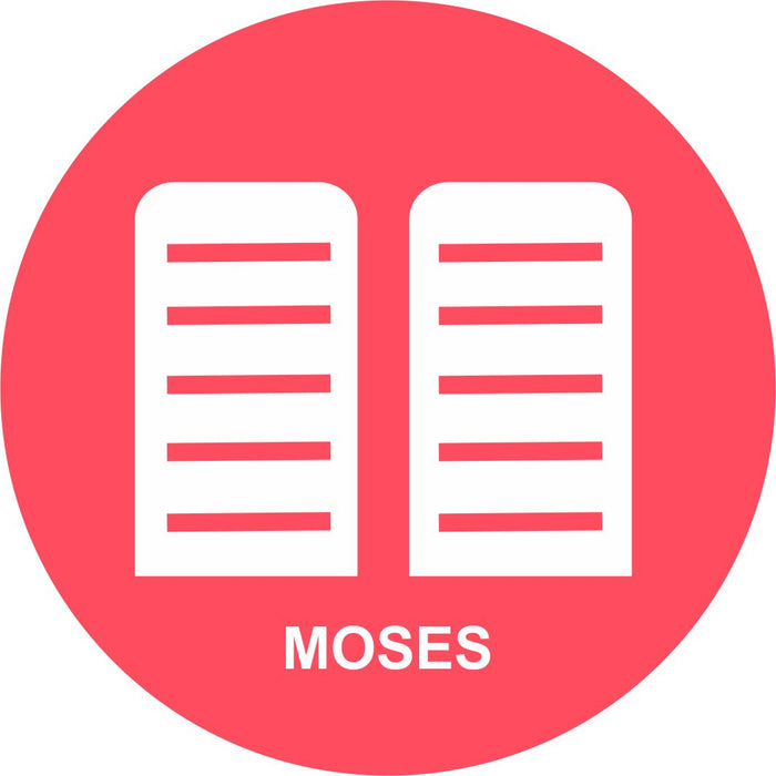 Divine Covenants Coasters (6)